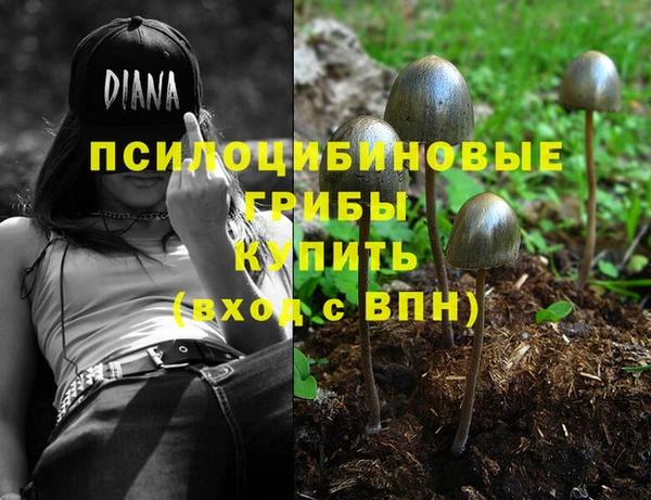 синтетический гашиш Белоозёрский